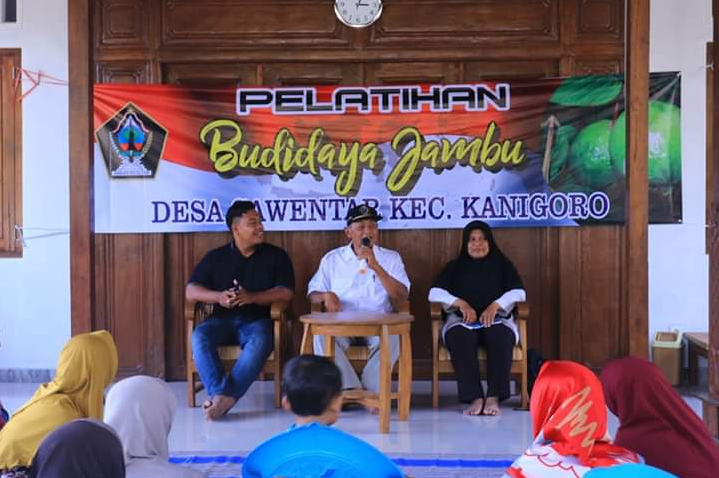 Pelatihan Budidaya Jambu Kristal